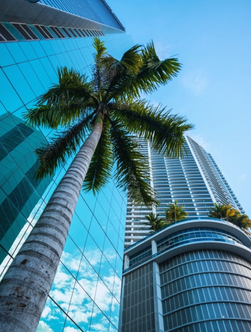 miami office