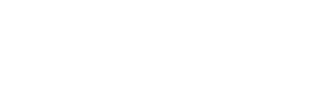 logo (white)